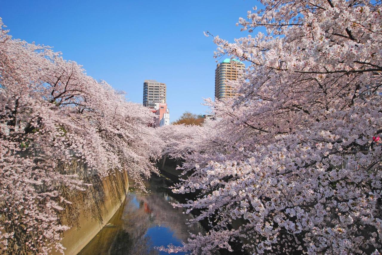 Sotetsu Fresa Inn Tokyo Kanda Zewnętrze zdjęcie